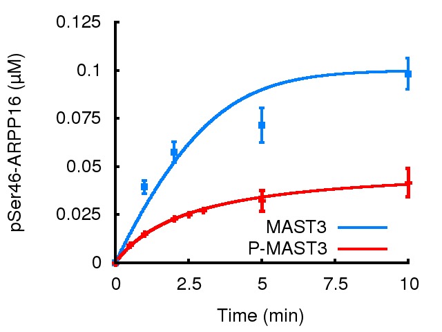 Appendix 1—figure 5.