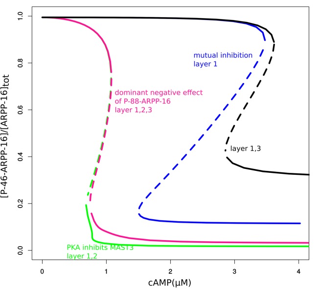 Figure 3—figure supplement 1.