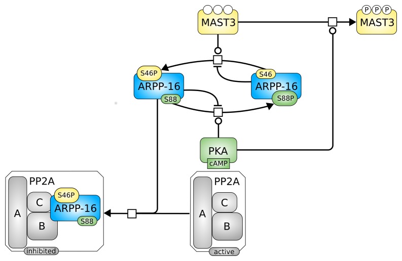 Appendix 1—scheme 2.