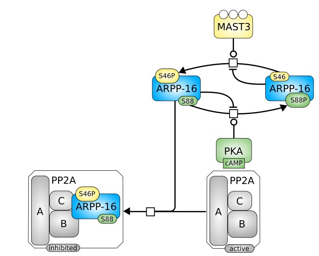 Appendix 1—scheme 1.