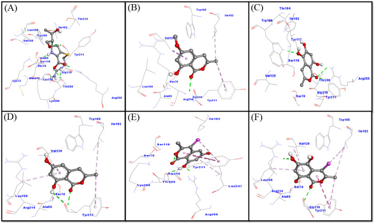 Figure 5