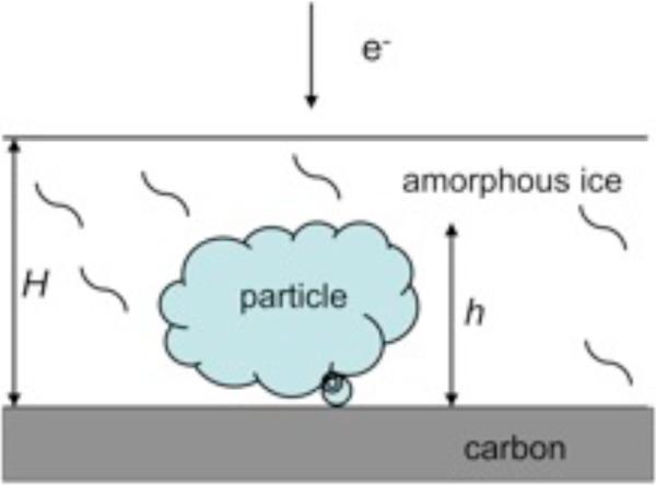 Fig.1