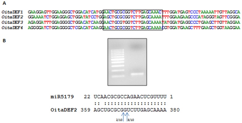 Figure 5