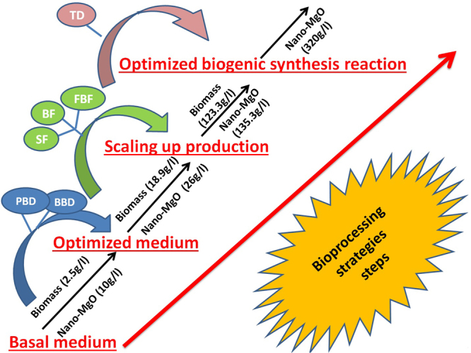 Figure 11