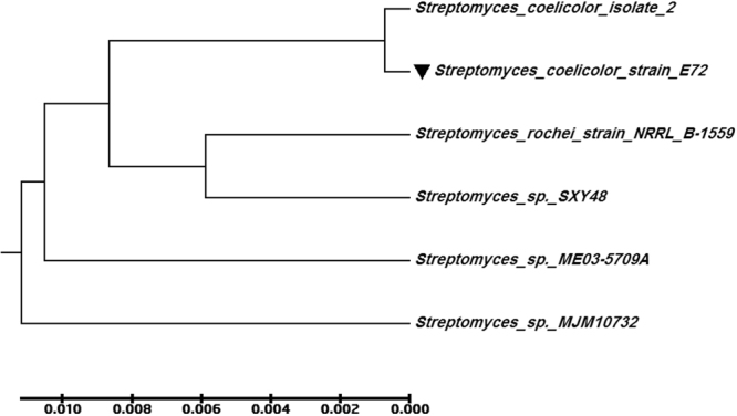 Figure 5