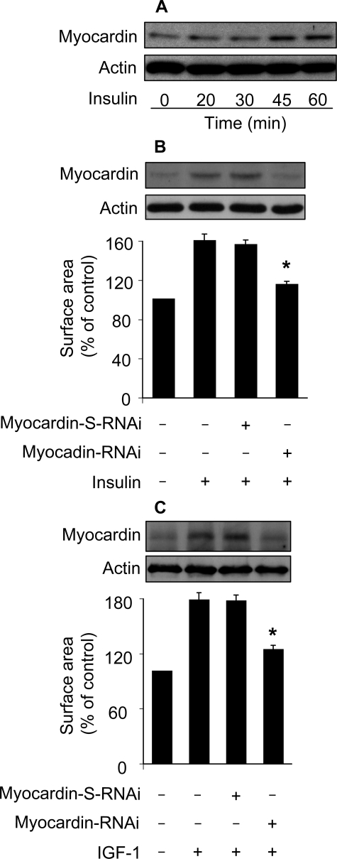 FIGURE 7.