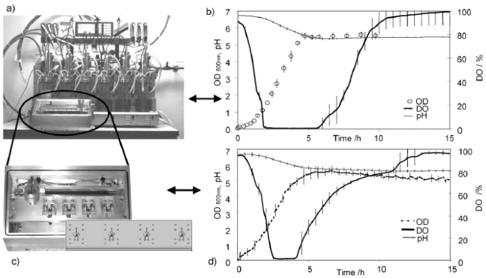 Fig. (1)