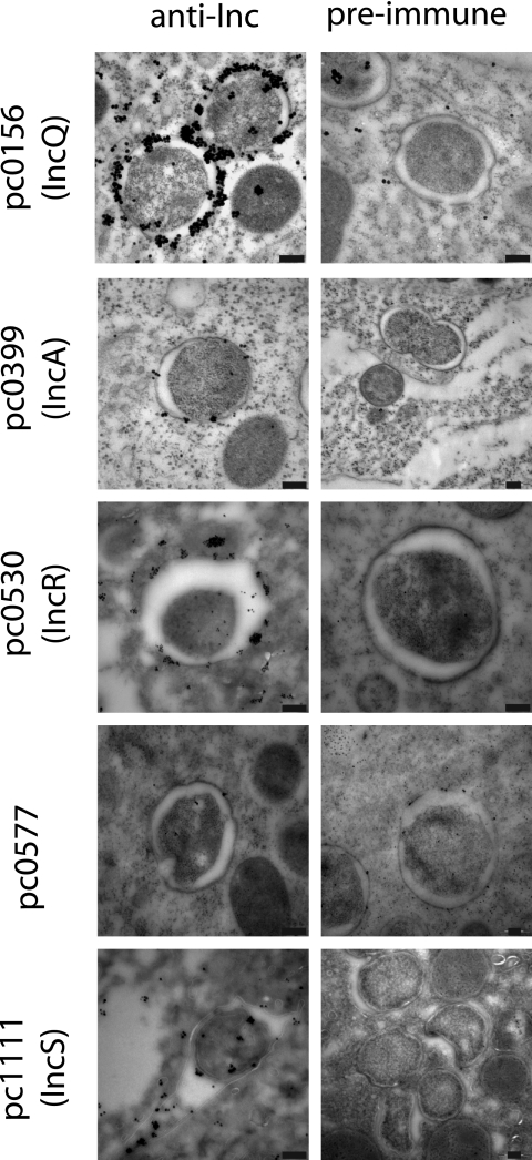 FIG. 5.