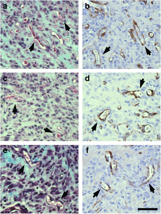 FIG. 6.