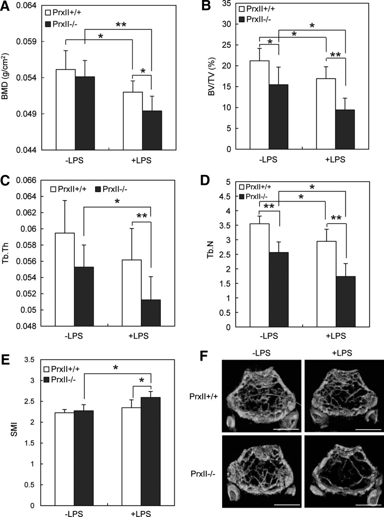 FIG. 8.