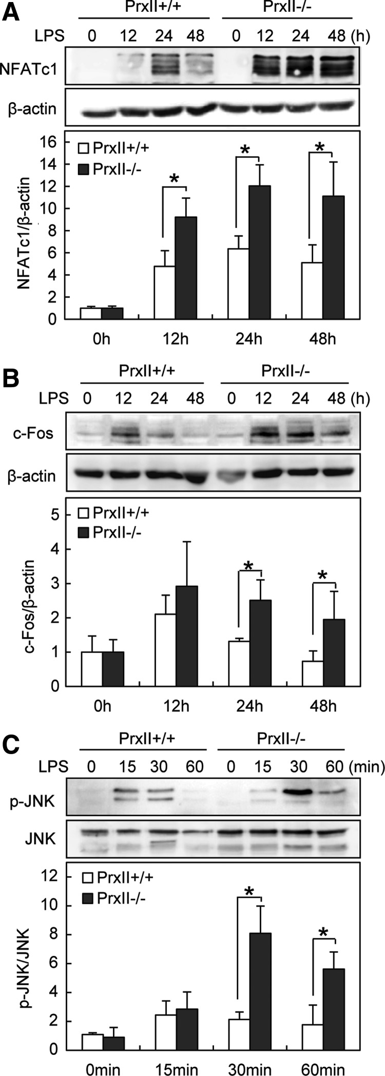 FIG. 5.