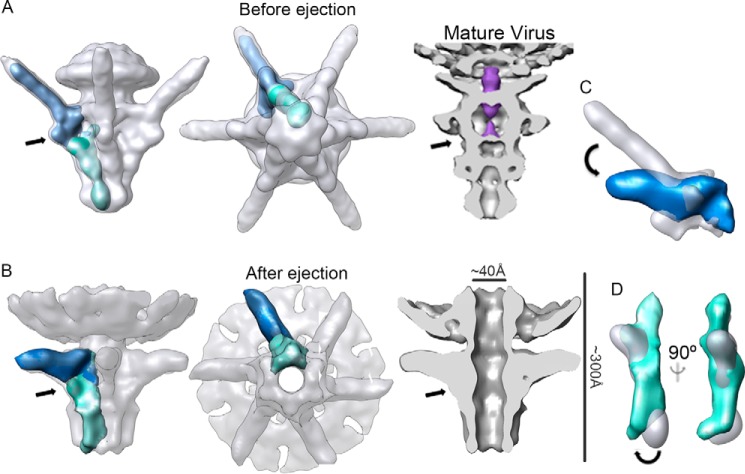 FIGURE 4.