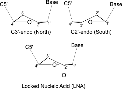 FIGURE 1.