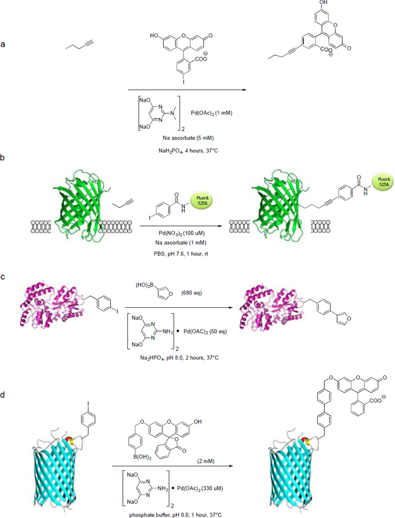 Scheme 6