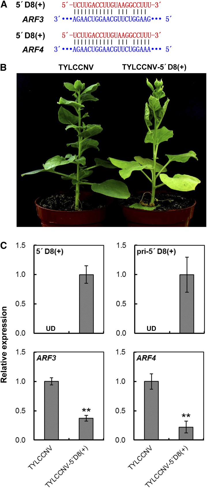 Figure 5.