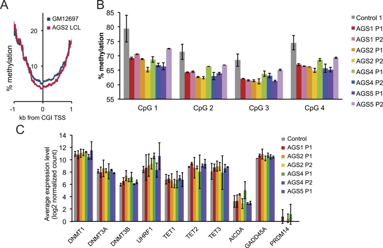 Figure 4—figure supplement 1.