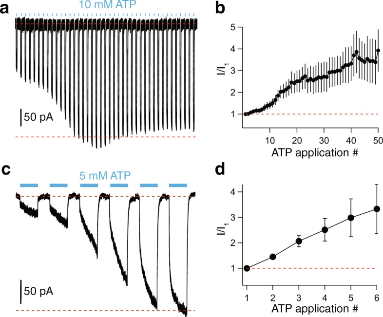 Fig. 3