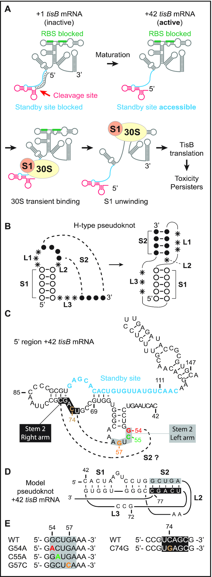 Figure 1.