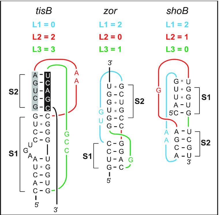 Figure 7.