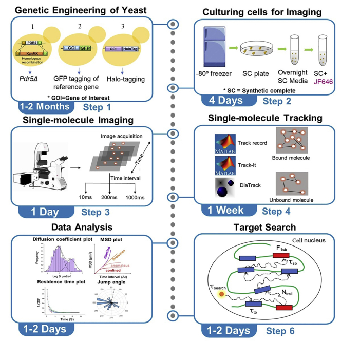 graphic file with name fx1.jpg