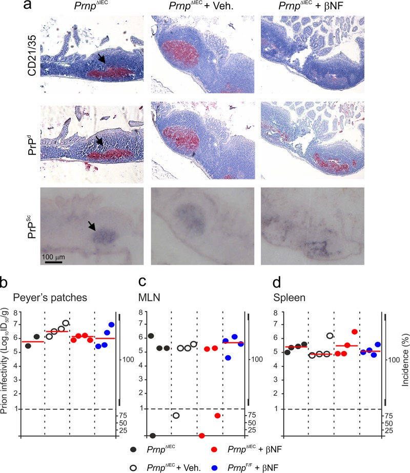 FIG 3