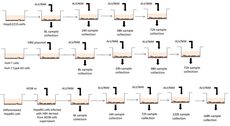 Supplementary Figure 1