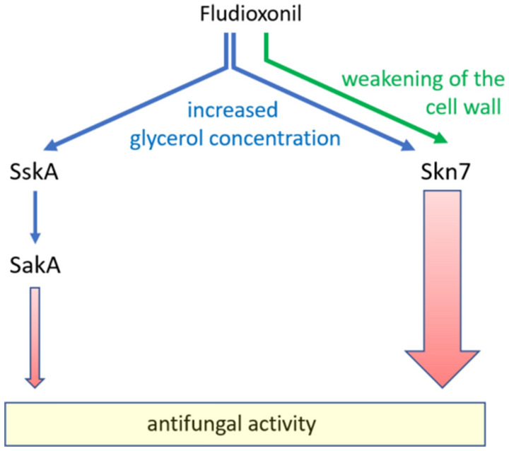 Figure 9