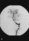 F<sc>ig</sc> 4.