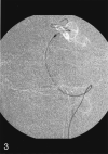 F<sc>ig</sc> 3.