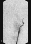 F<sc>ig</sc> 1.