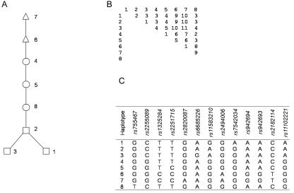 Figure  3. 