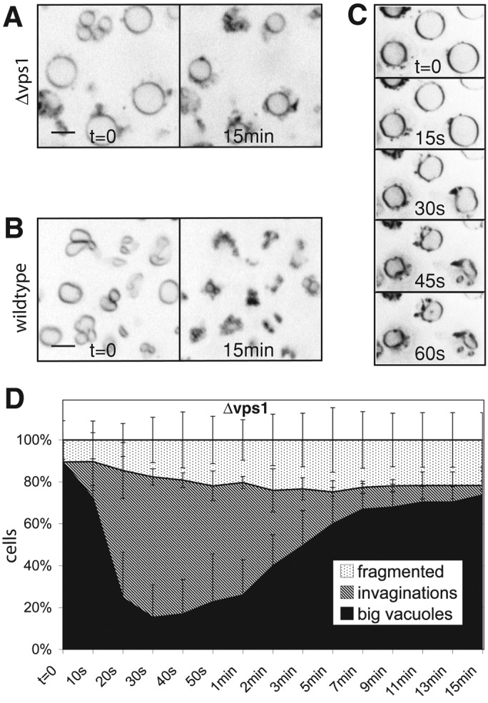 FIGURE 5: