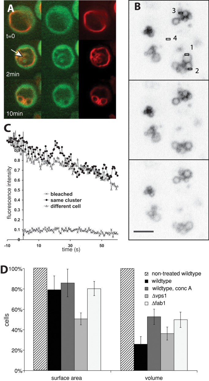 FIGURE 3: