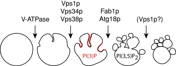 FIGURE 10: