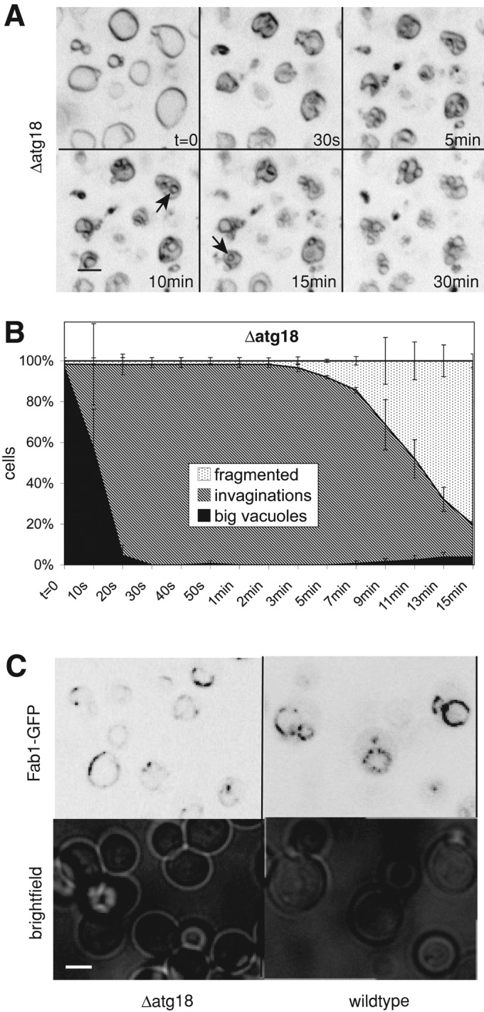 FIGURE 9: