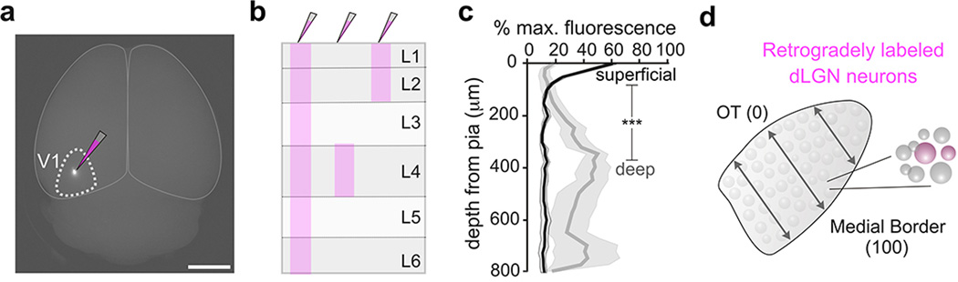 Extended Data Figure 2