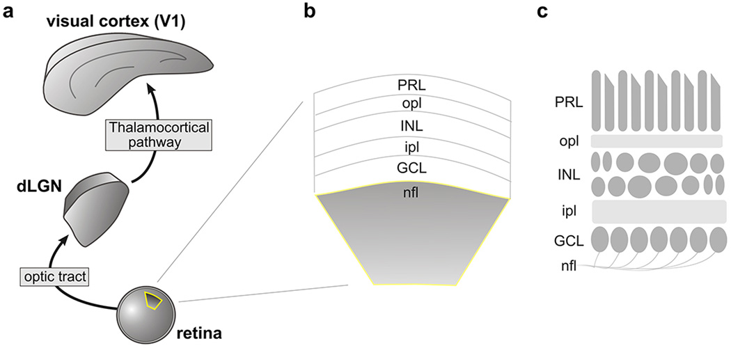 Extended Data Figure 1