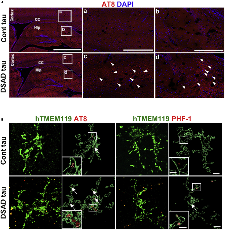 Figure 3