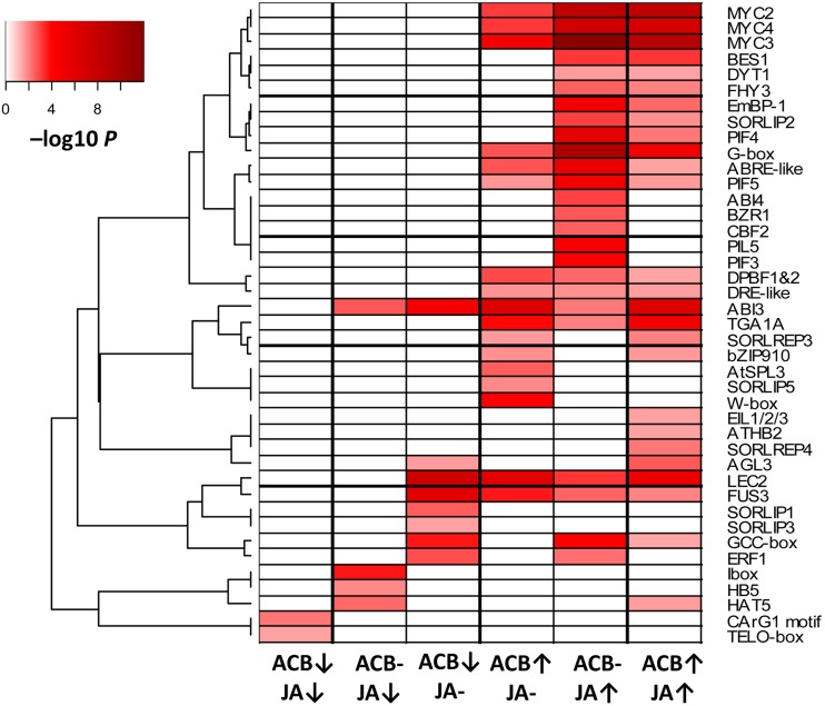 Fig 3