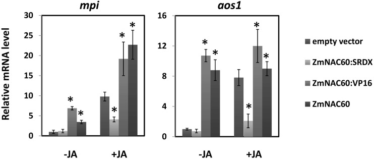 Fig 6