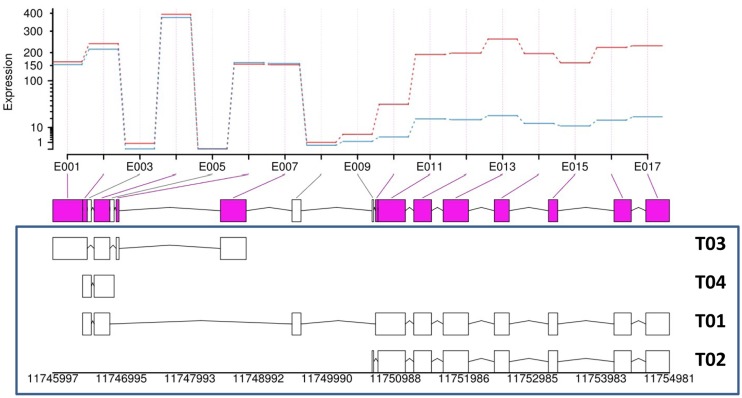 Fig 2