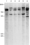 FIG. 6