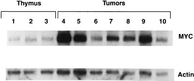 FIG. 8