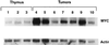 FIG. 8