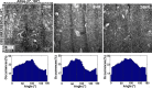 Fig. 11