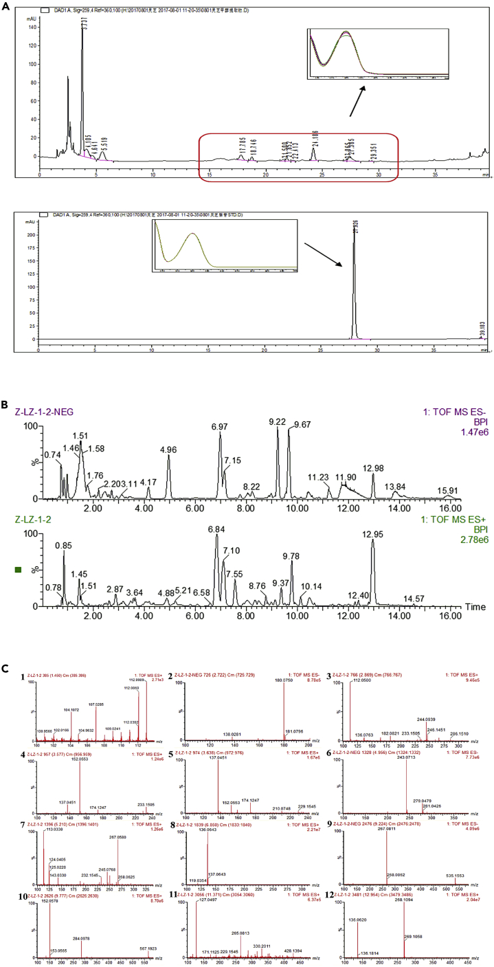 Figure 1
