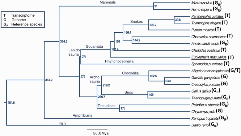 Fig. 1.—