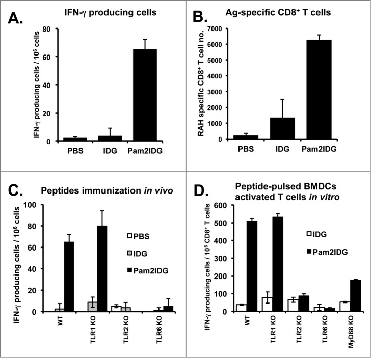 Figure 2.