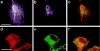 Figure  6