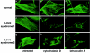 Figure   3